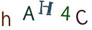 Beeld-CAPTCHA